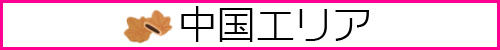 中国モデル募集