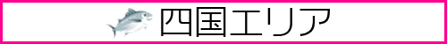 四国モデル募集